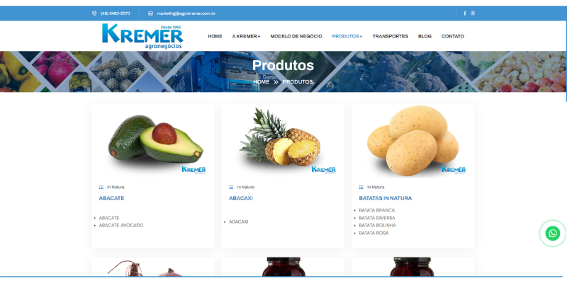 NOVO SITE KREMER, MAIS MODERNO E COMPLETO