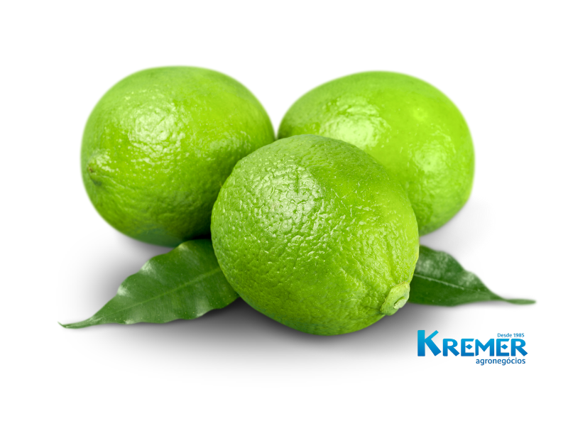 LIMÕES