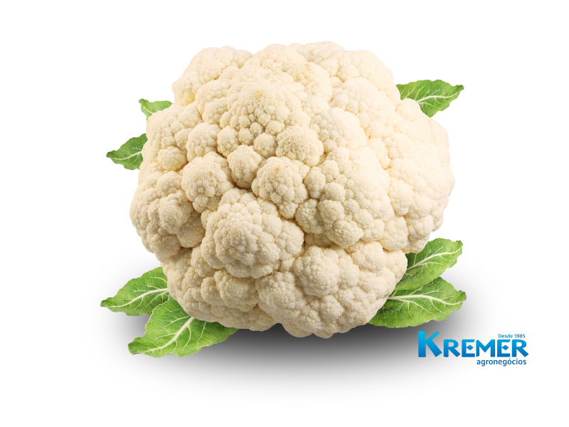 COUVE FLOR