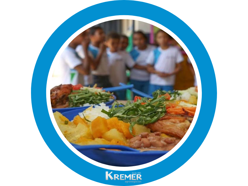 Kremer Escolas